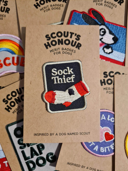Scouts Honour Merit Badge - Sock Thief
