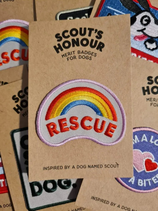 Scouts Honour Merit Badge - Rescue