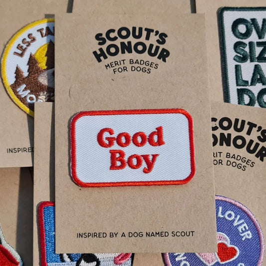 Scouts Honour Merit Badge - Good Boy
