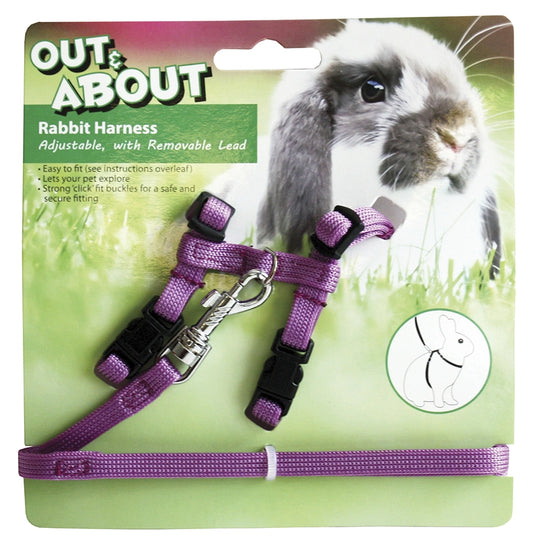 Rabbit Harness & Lead Set Purple
